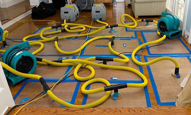 Professional Crawl Space Water Removal technician working in Delmont, SD